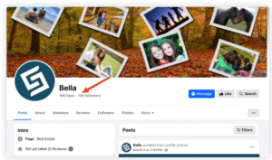 Super Strong Facebook Fan Pages